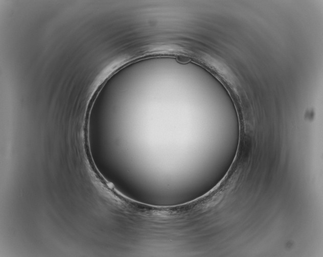 X0000097591330200803141846