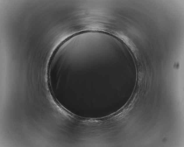 X0000097591331200803141846