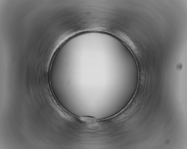 X0000097591332200803141846