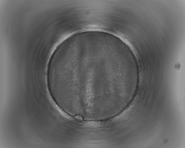 X0000097591333200803141846