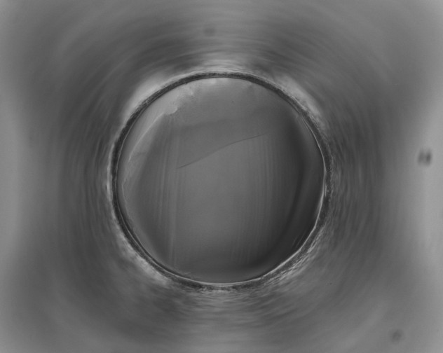 X0000097591334200803141846