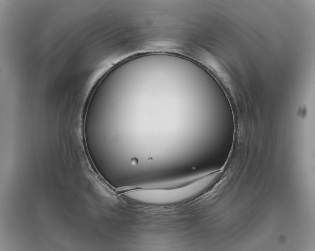 X0000097591336200803141846