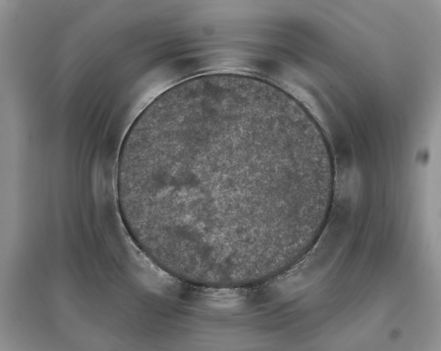 X0000097591338200803141846