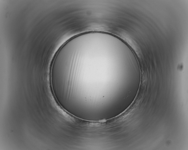 X0000097591339200803141846