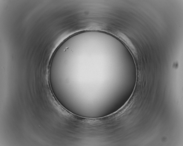 X0000097591340200803141846