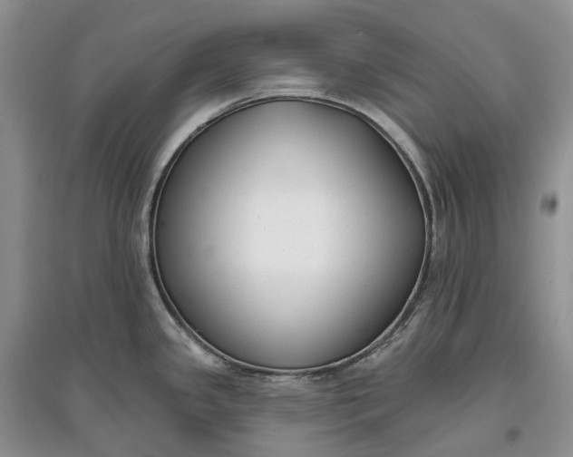 X0000097591341200803141846