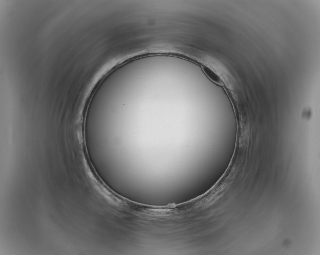 X0000097591342200803141846