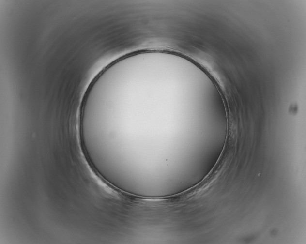 X0000097591343200803141846