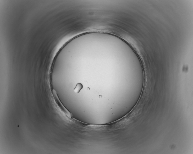 X0000097591344200803141846