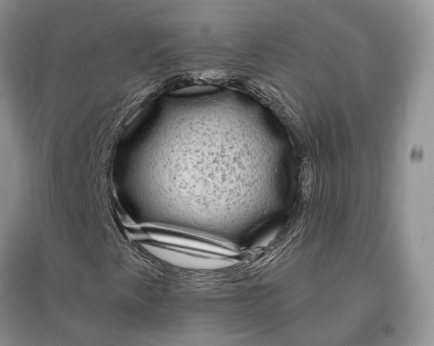 X0000097591345200803141846