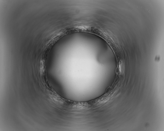 X0000097591347200803141845