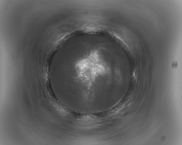 X0000097591348200803141845