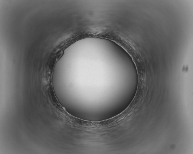 X0000097591349200803141845