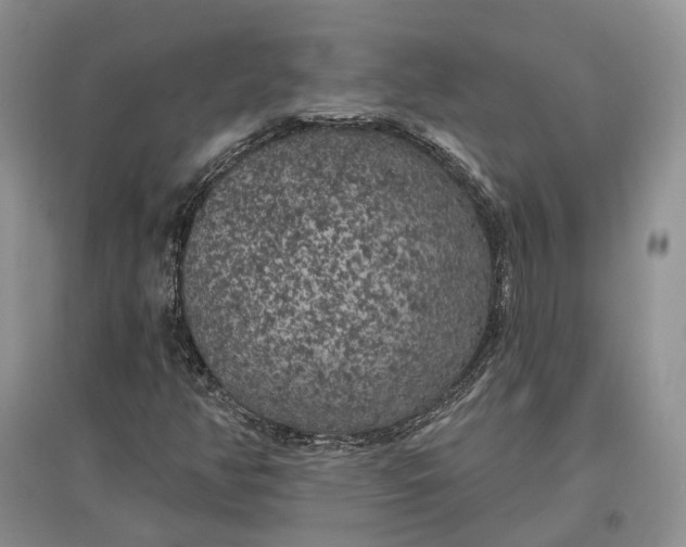 X0000097591350200803141845