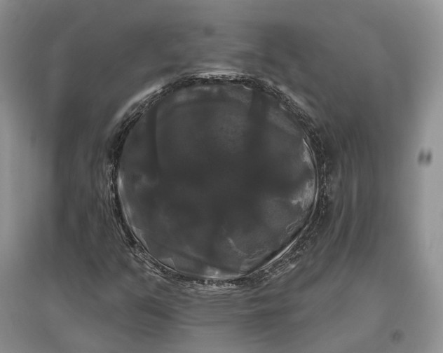 X0000097591351200803141845