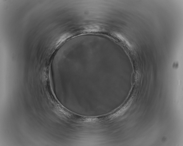 X0000097591353200803141845