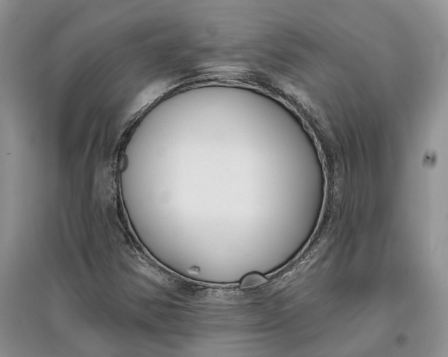 X0000097591354200803141845