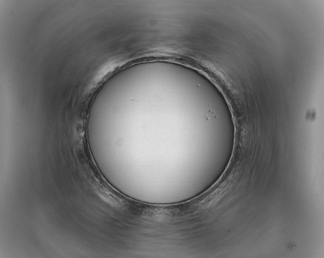 X0000097591355200803141845