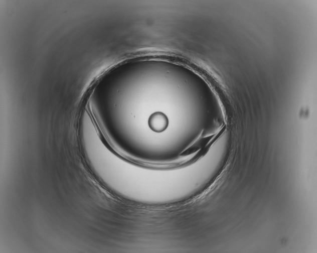 X0000097591357200803141845