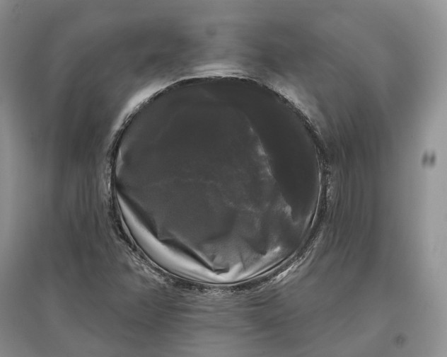 X0000097591358200803141845