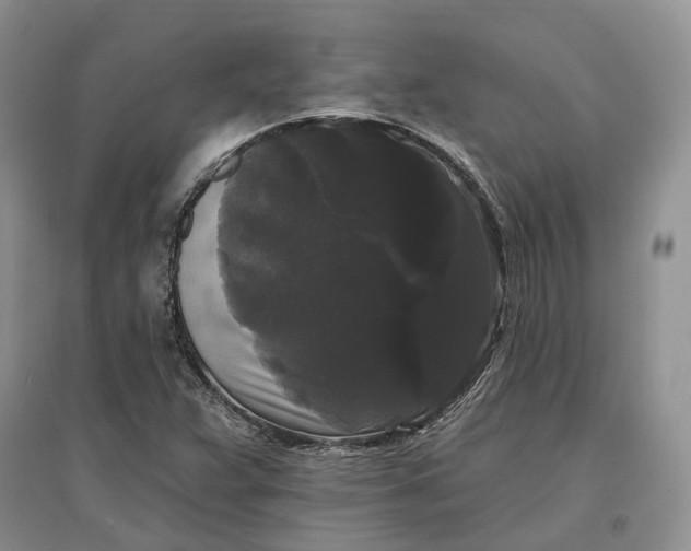 X0000097591359200803141845