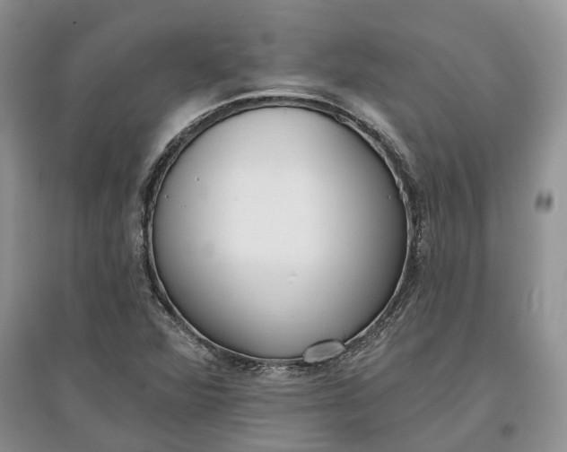 X0000097591360200803141845