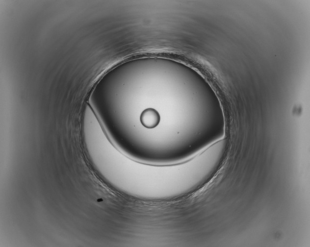 X0000097591361200803141845