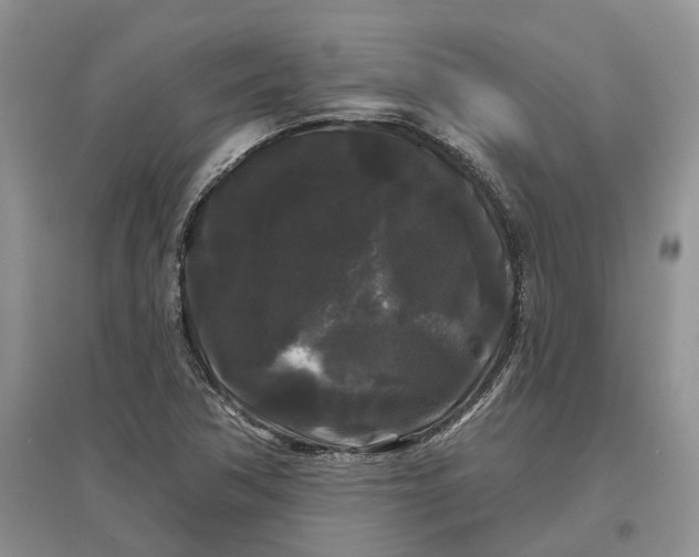 X0000097591362200803141845