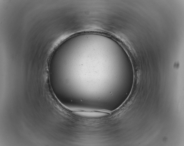 X0000097591363200803141845