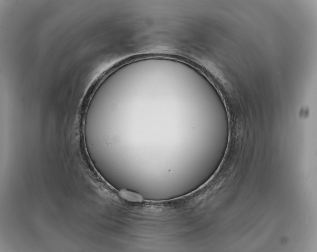 X0000097591364200803141845