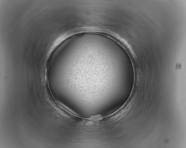 X0000097591365200803141845