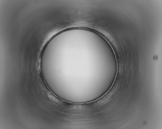 X0000097591366200803141845