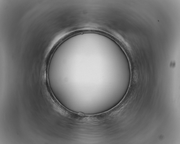 X0000097591368200803141845