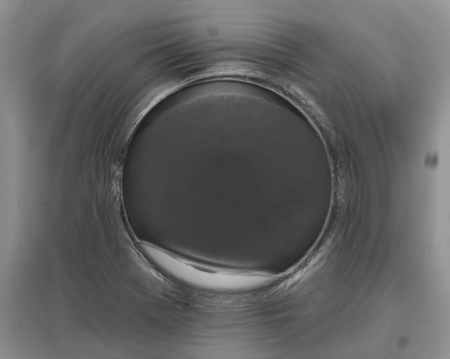 X0000097591369200803141845