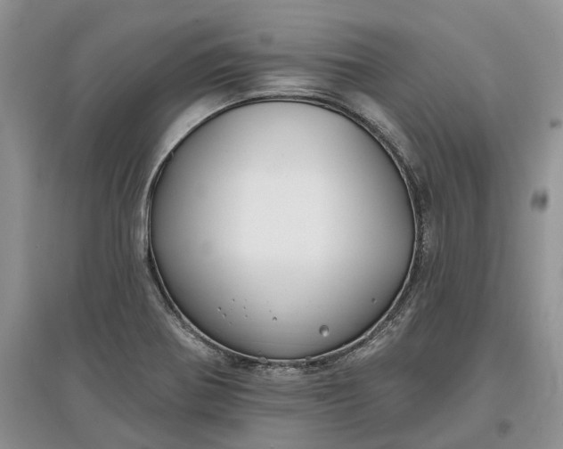 X0000097591370200803141845