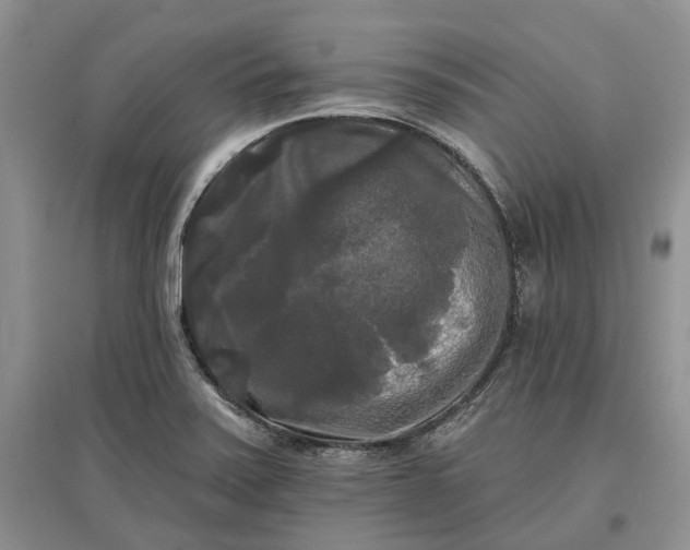 X0000097591371200803141845