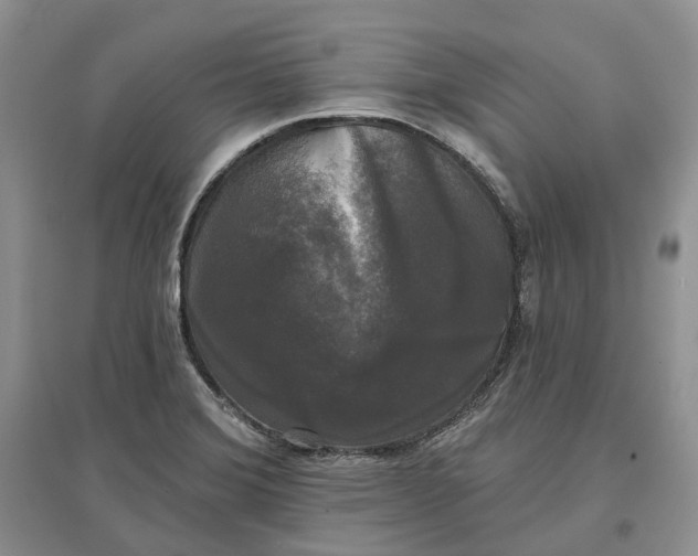 X0000097591372200803141845