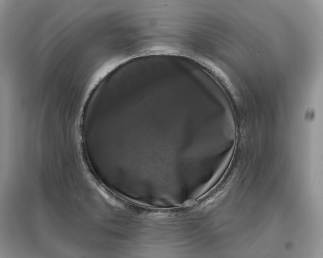 X0000097591373200803141845