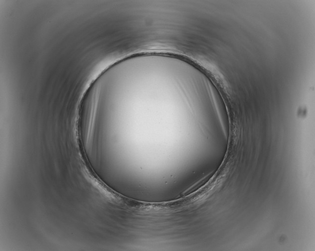 X0000097591374200803141845