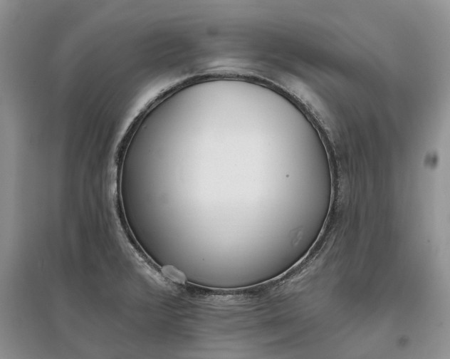 X0000097591376200803141845