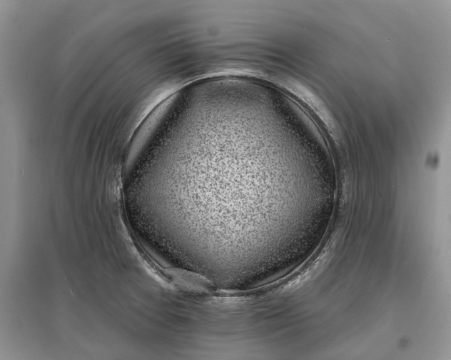 X0000097591377200803141845