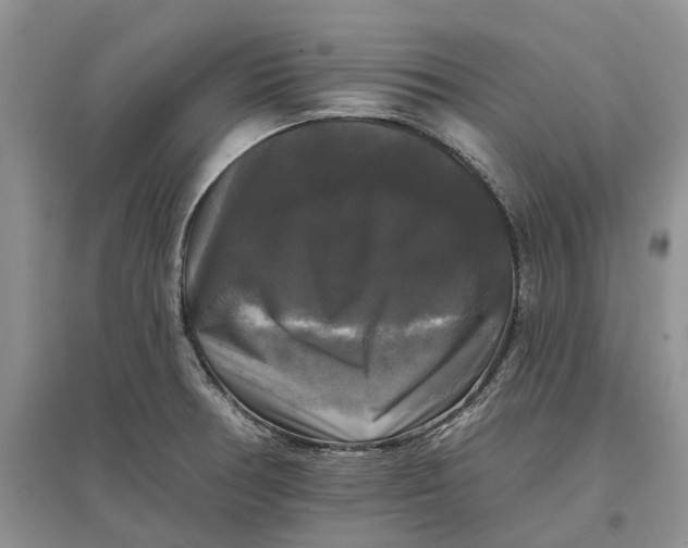 X0000097591378200803141845