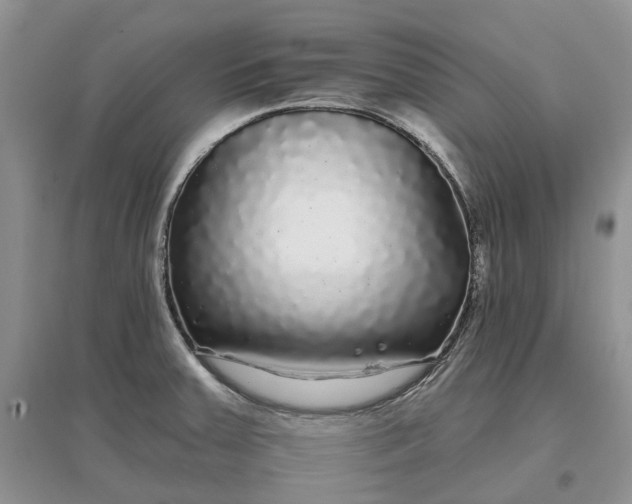 X0000097591379200803141845