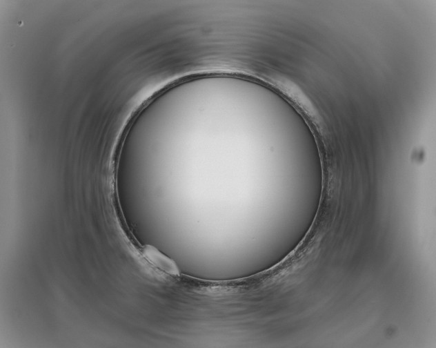 X0000097591380200803141845