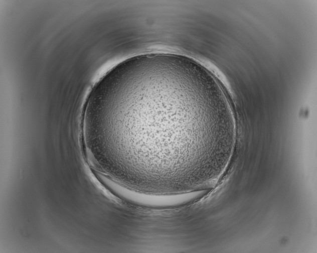 X0000097591381200803141845