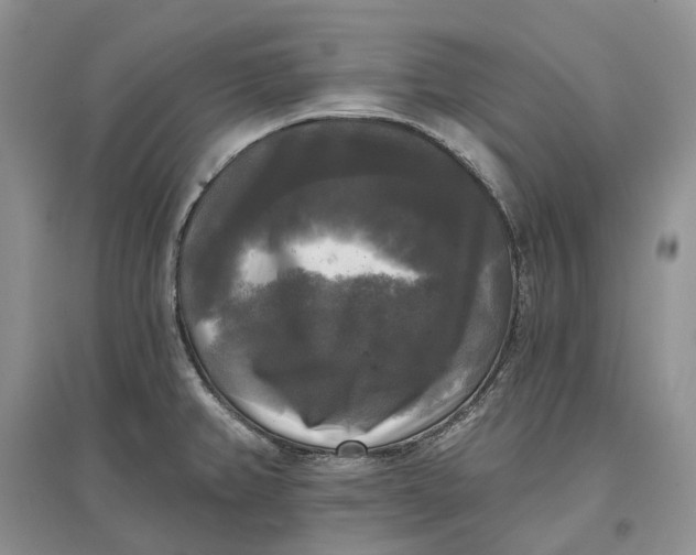 X0000097591382200803141845