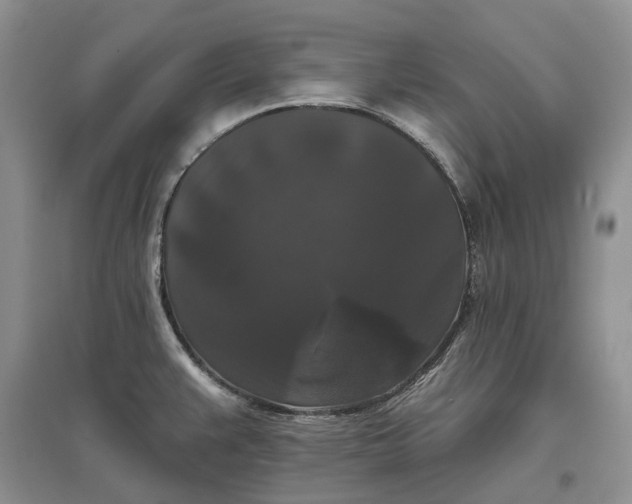 X0000097591383200803141845