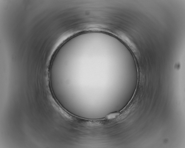 X0000097591384200803141845