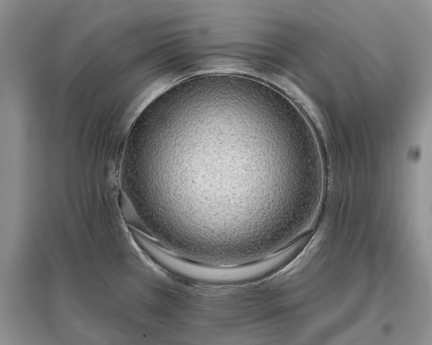 X0000097591385200803141845