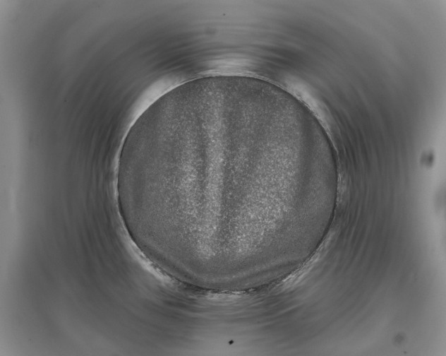 X0000097591386200803141845